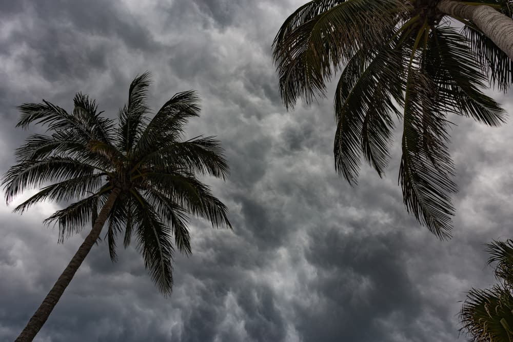 Hurricane Season
