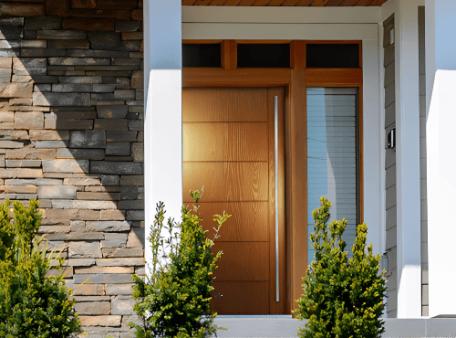 a door with a glass panel and plants