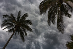 Read more about the article Hurricane Season: How to Prepare Your Home for Disaster